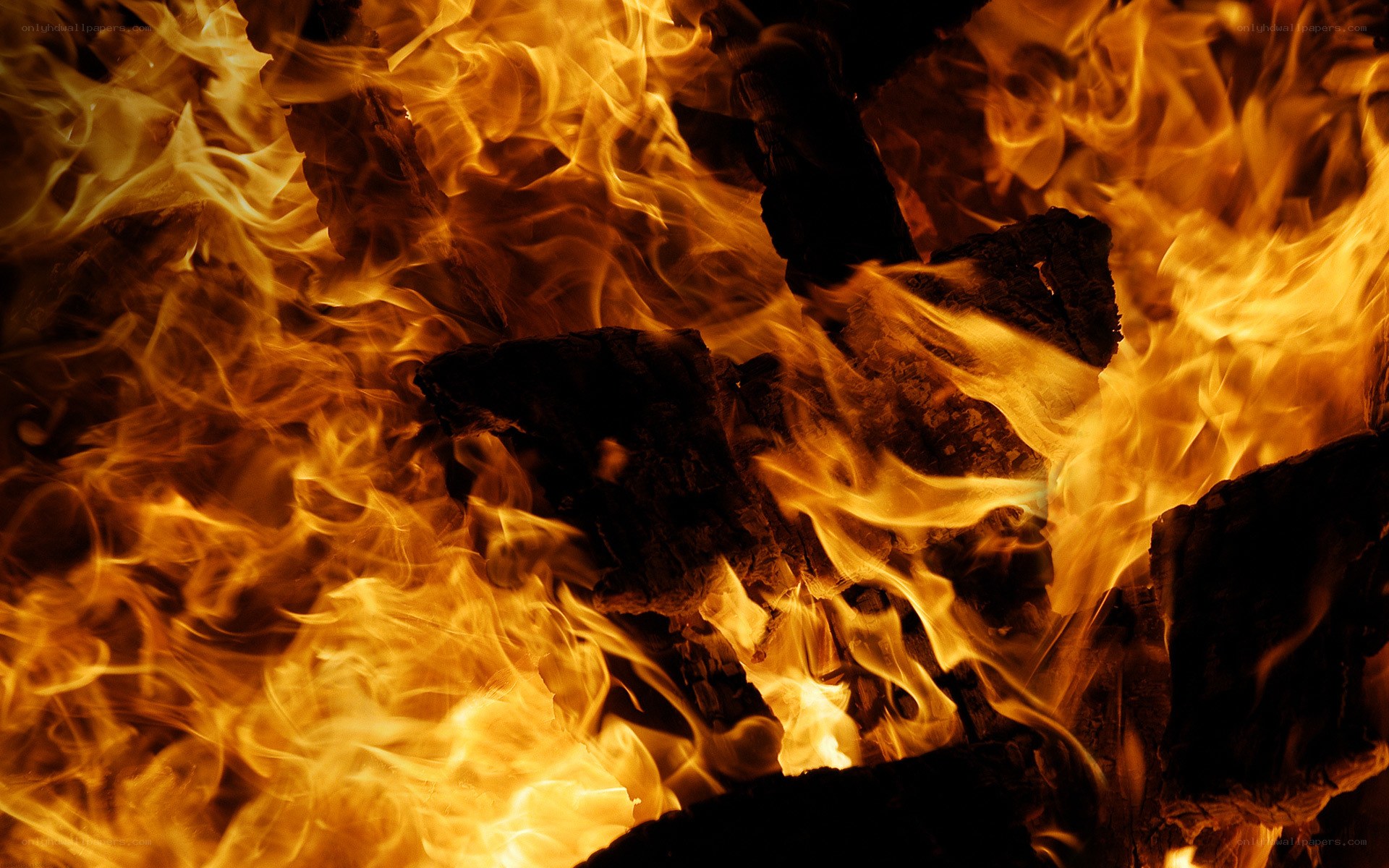Fiery flames burning wood