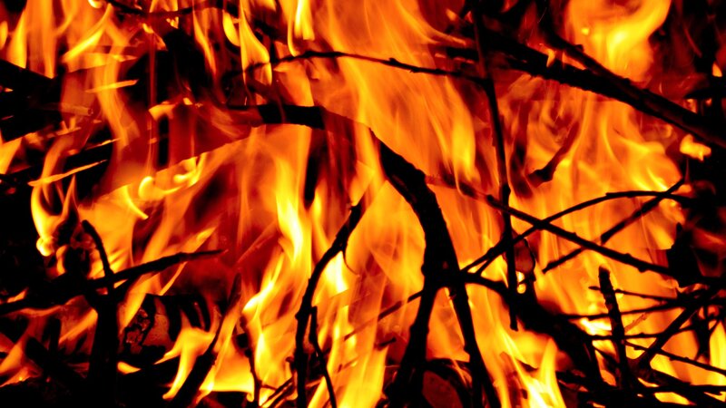 Fiery flames burning wood
