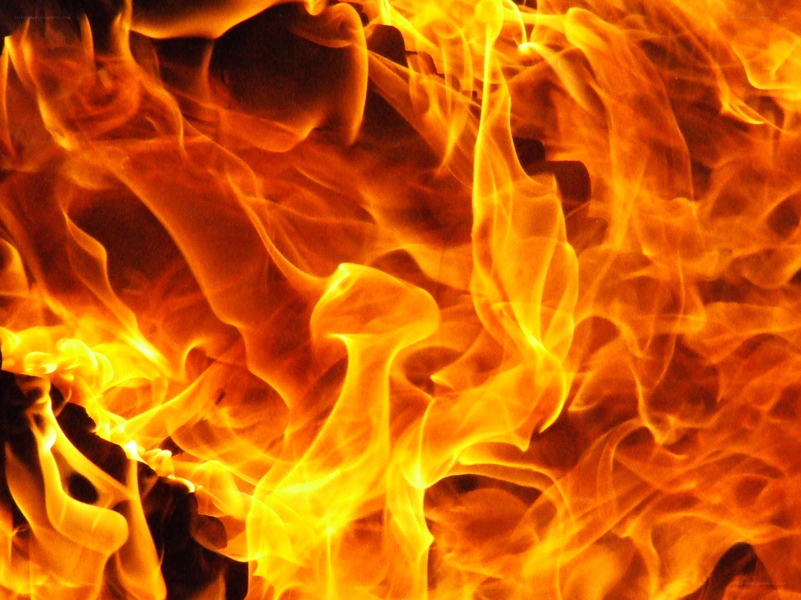 Fiery flames in motion