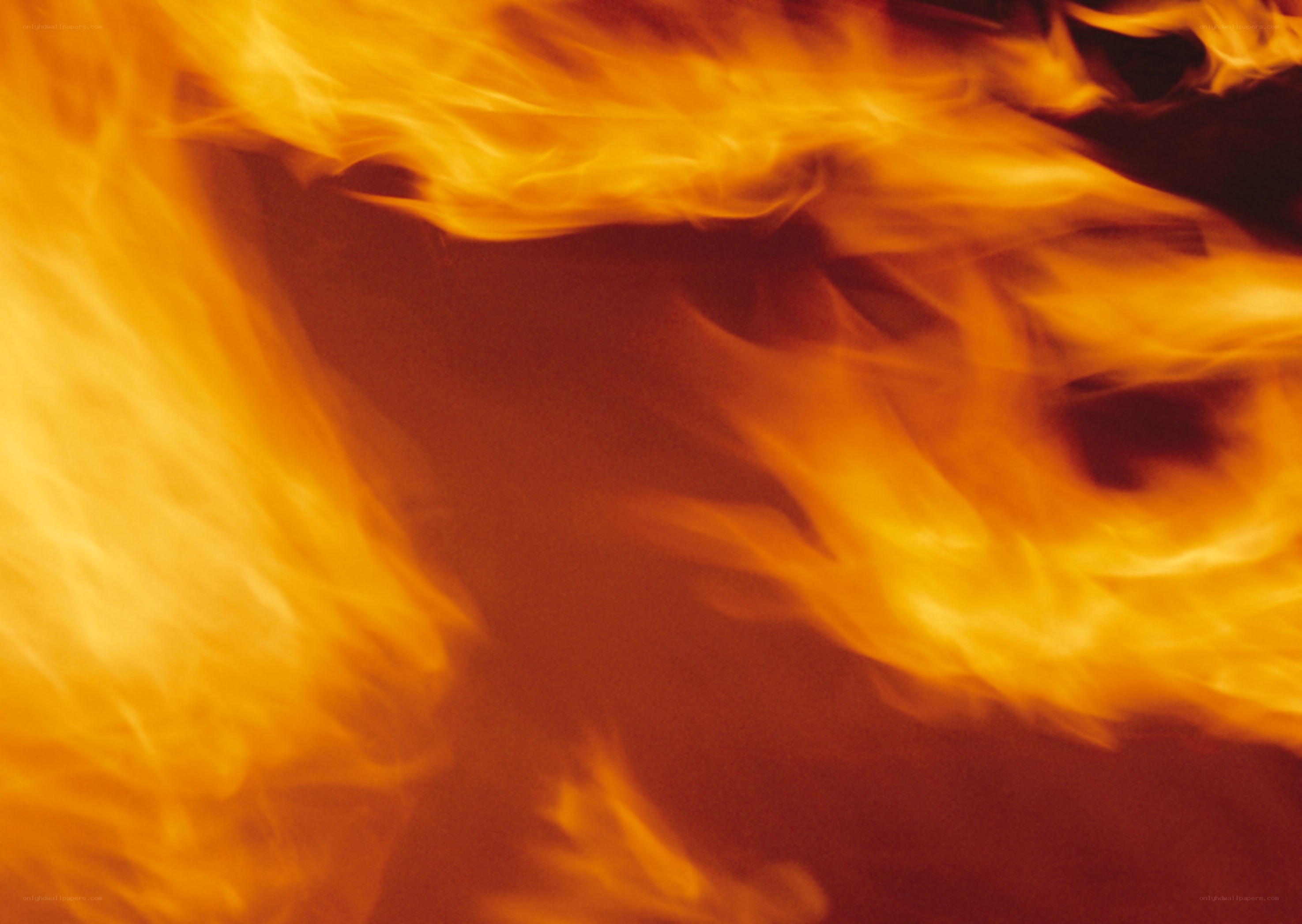 Fiery flames in motion