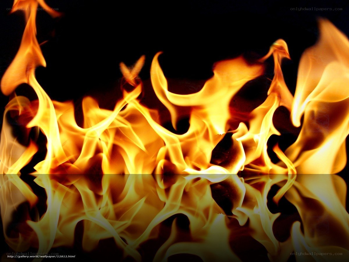Fiery flames on black