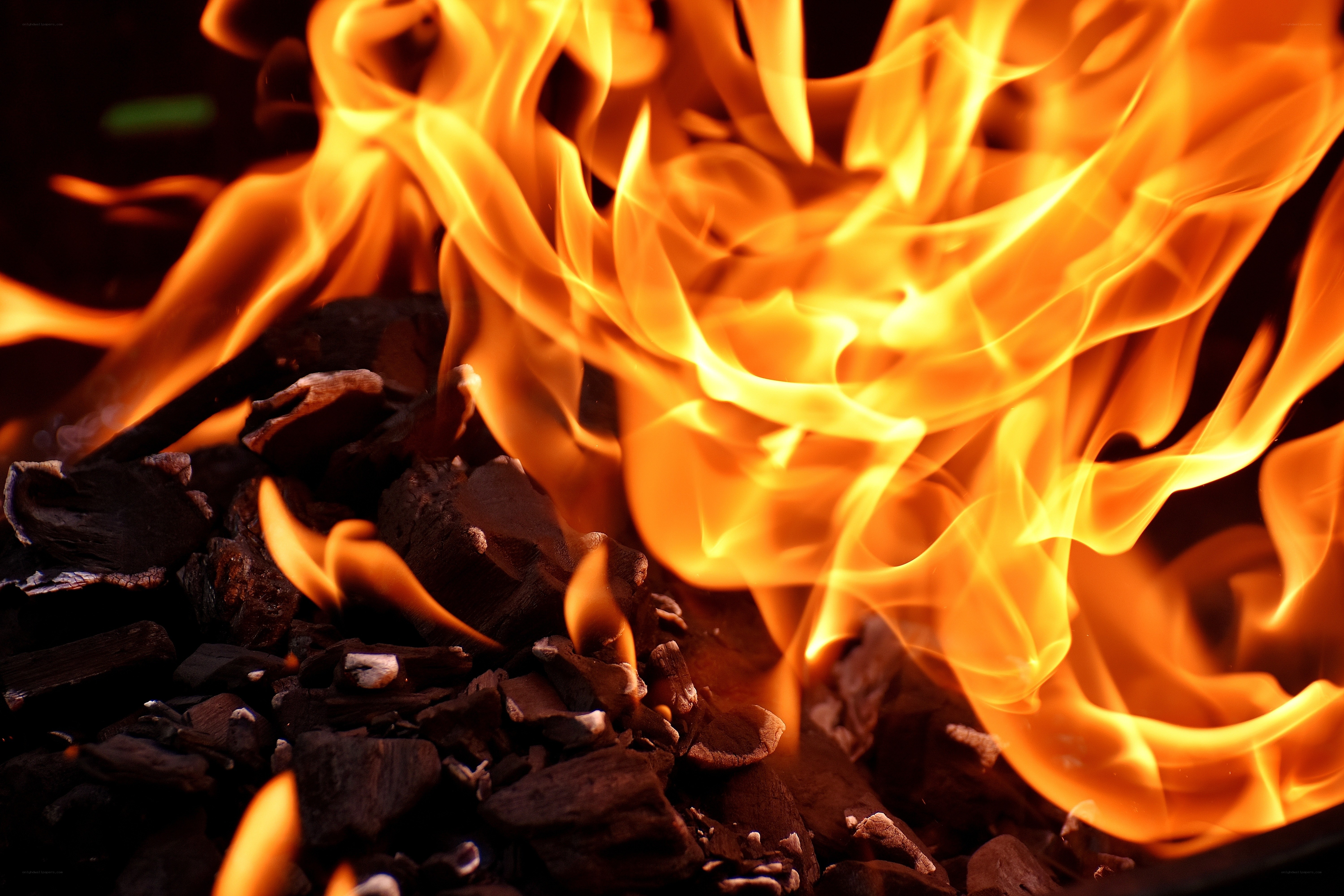 Fiery flames on burning charcoal