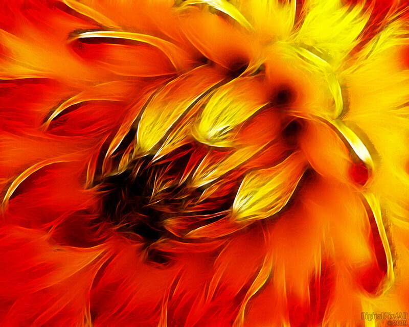 Fiery flower abstract