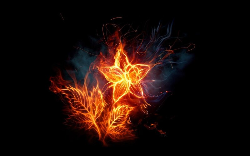 fiery flower and leaf