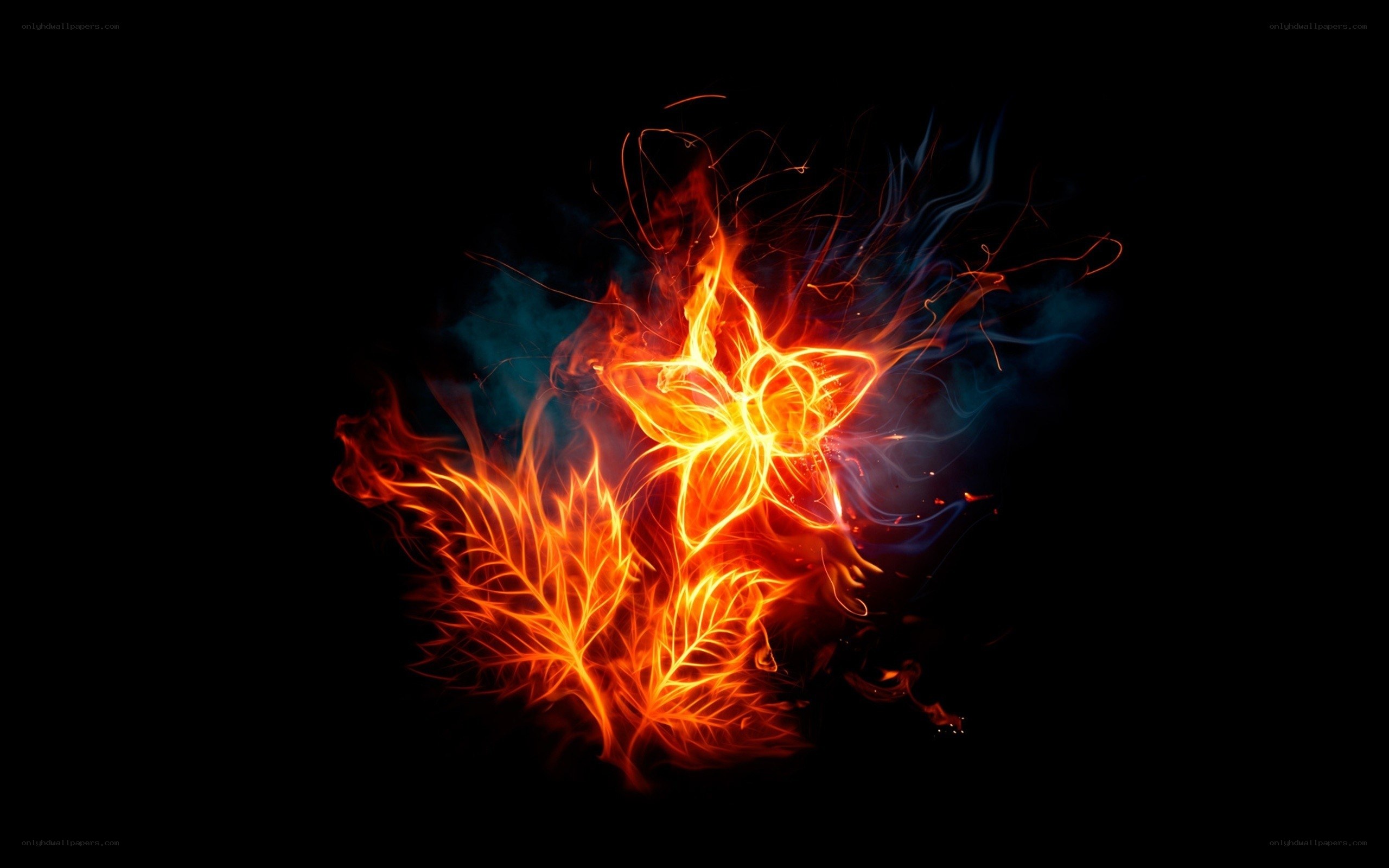 fiery flower and leaf