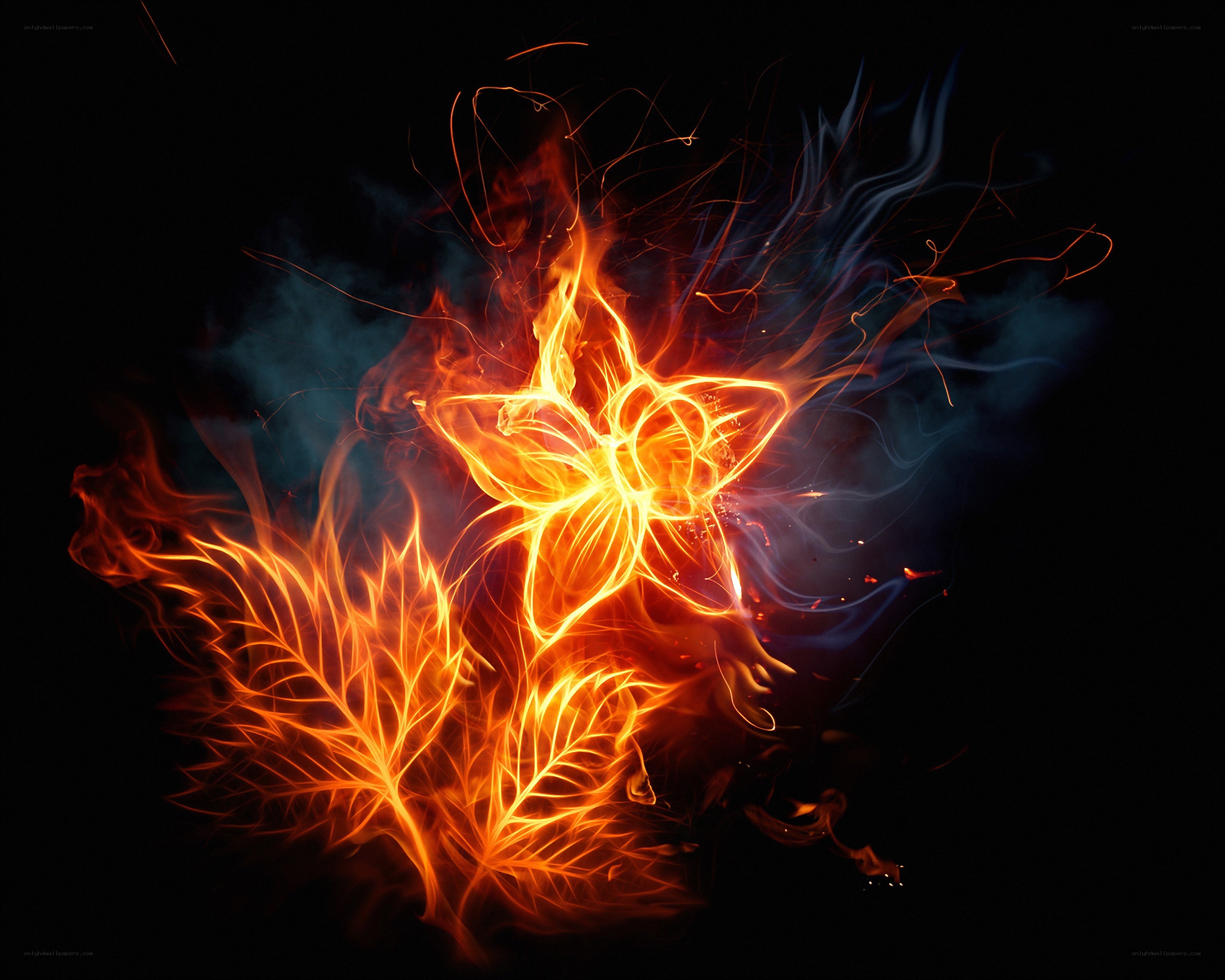 fiery flower and leaves