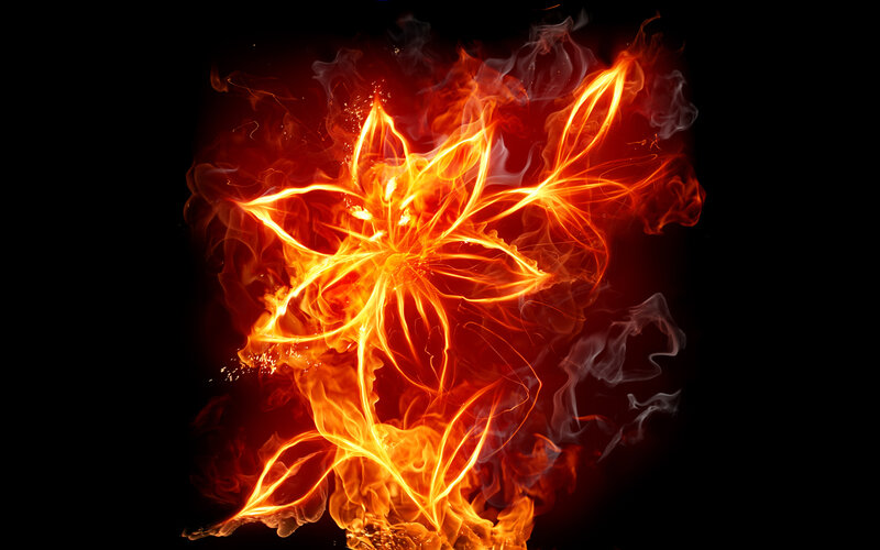 fiery flower animation