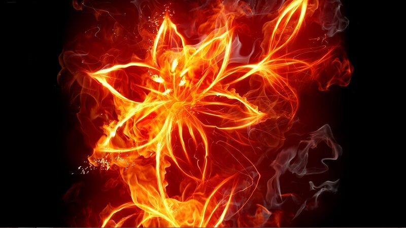 fiery flower design