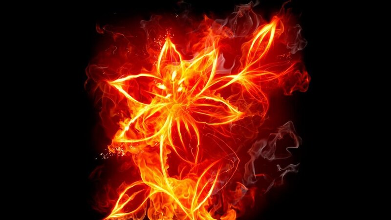 fiery flower design