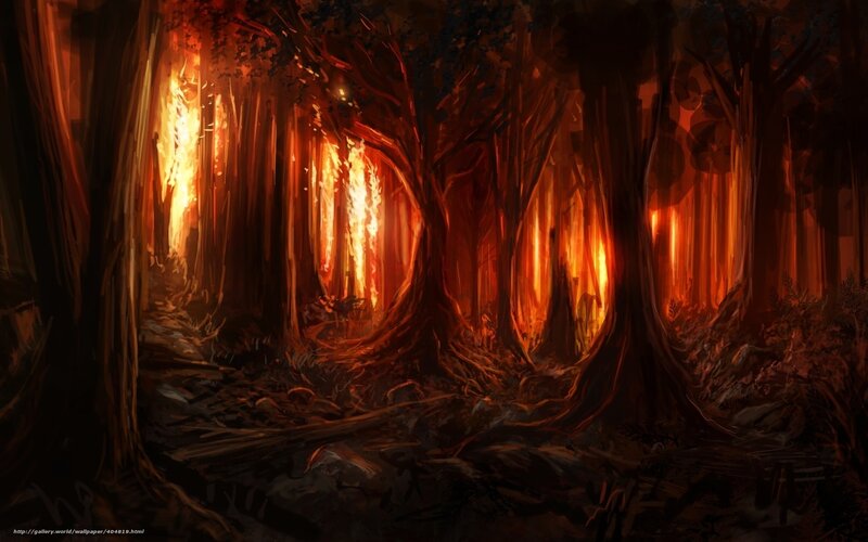 Fiery forest path
