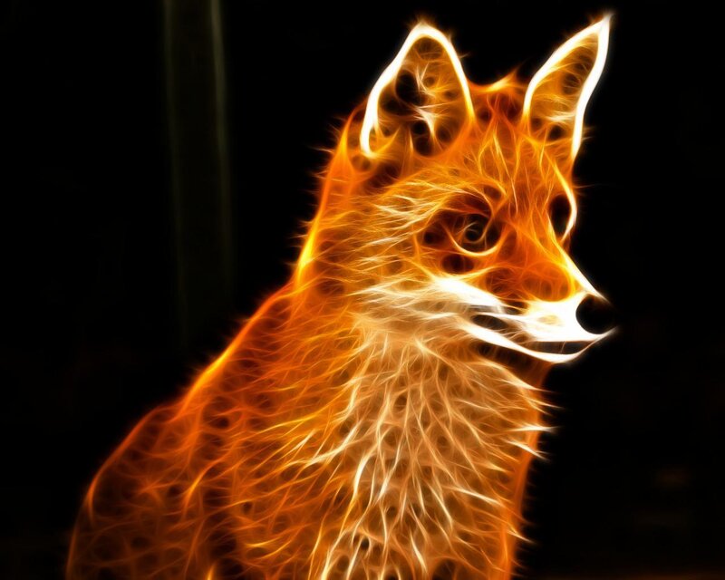 fiery fox portrait