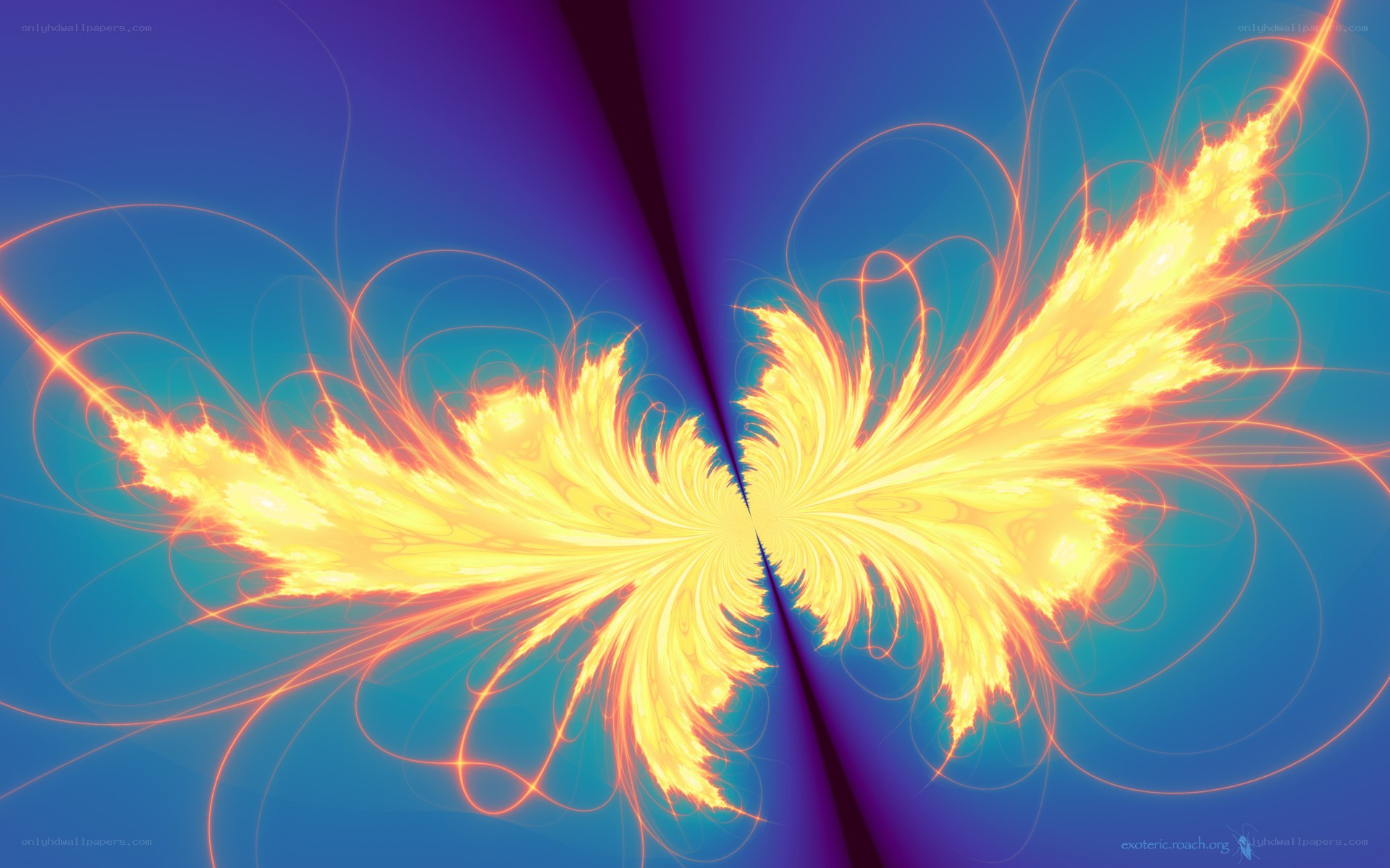 fiery fractal wings