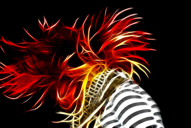 fiery hair and zebra stripes