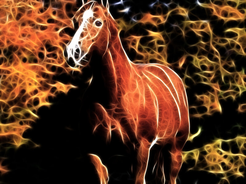 fiery horse digital art