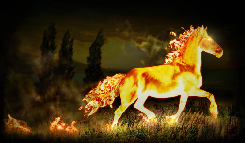 fiery horse galloping at night