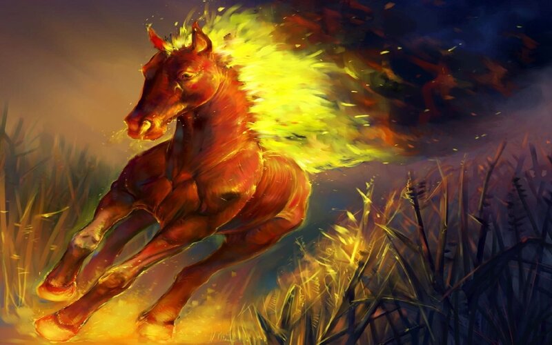 fiery horse galloping