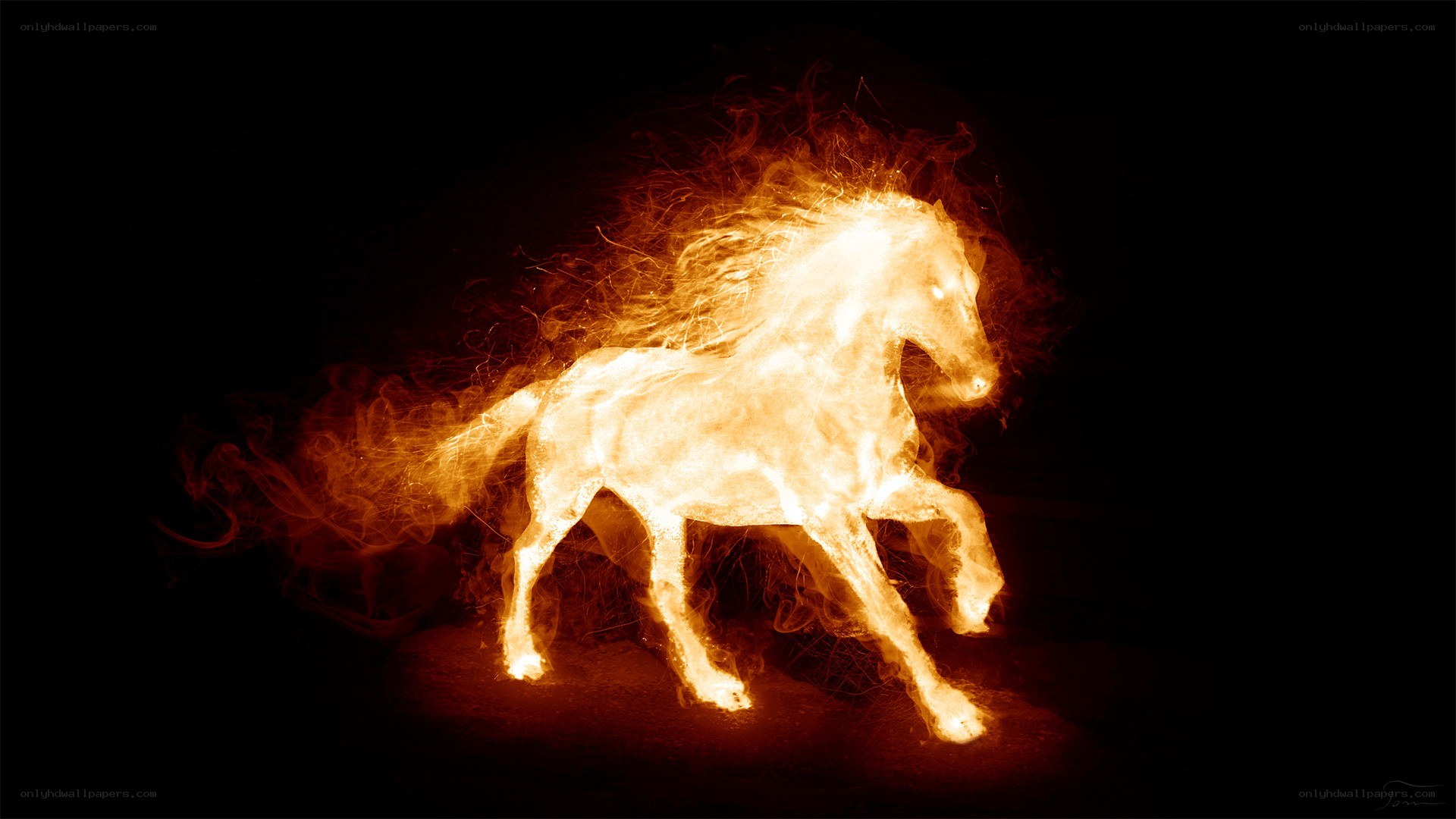 fiery horse in motion