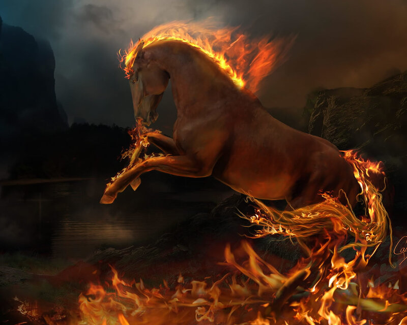 fiery horse rearing