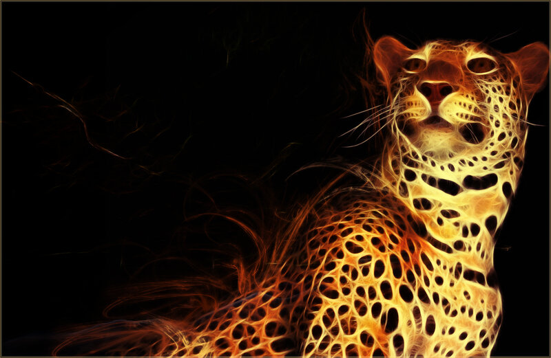 fiery leopard artwork