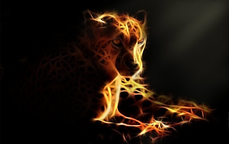 fiery leopard digital art