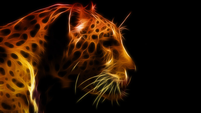 fiery leopard silhouette