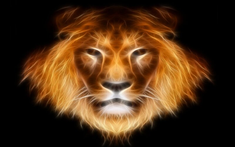 fiery lion head portrait