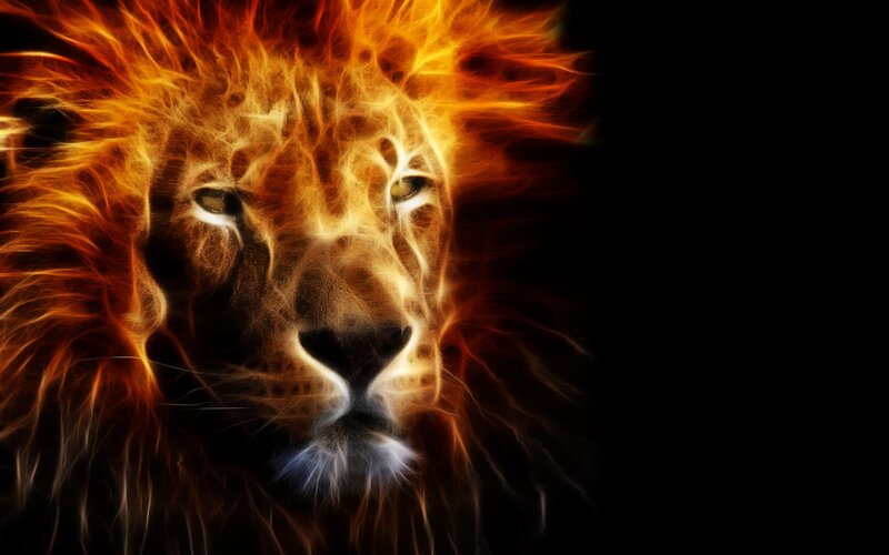 fiery lion portrait