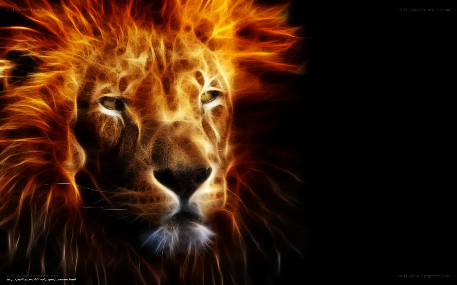 Fiery lion portrait