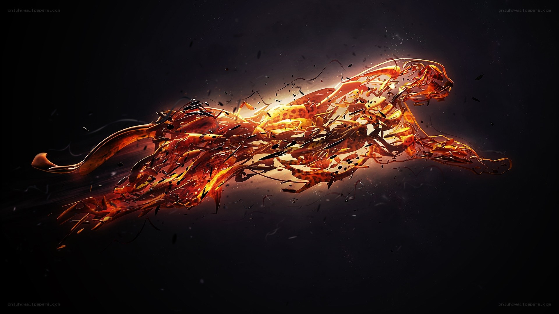 Fiery panther in motion
