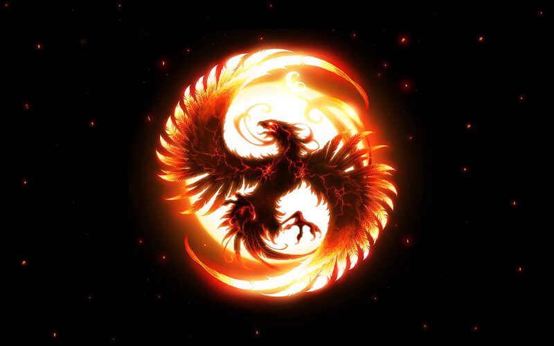 Fiery Phoenix Bird — Orange, Dramatic, Night, Digital Art