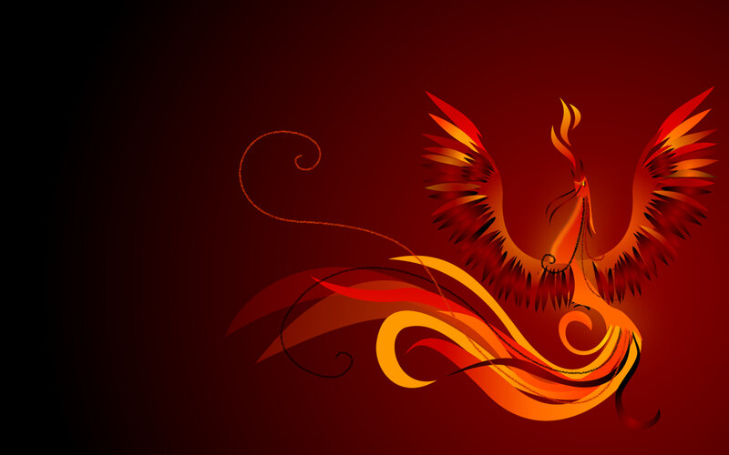 fiery phoenix illustration