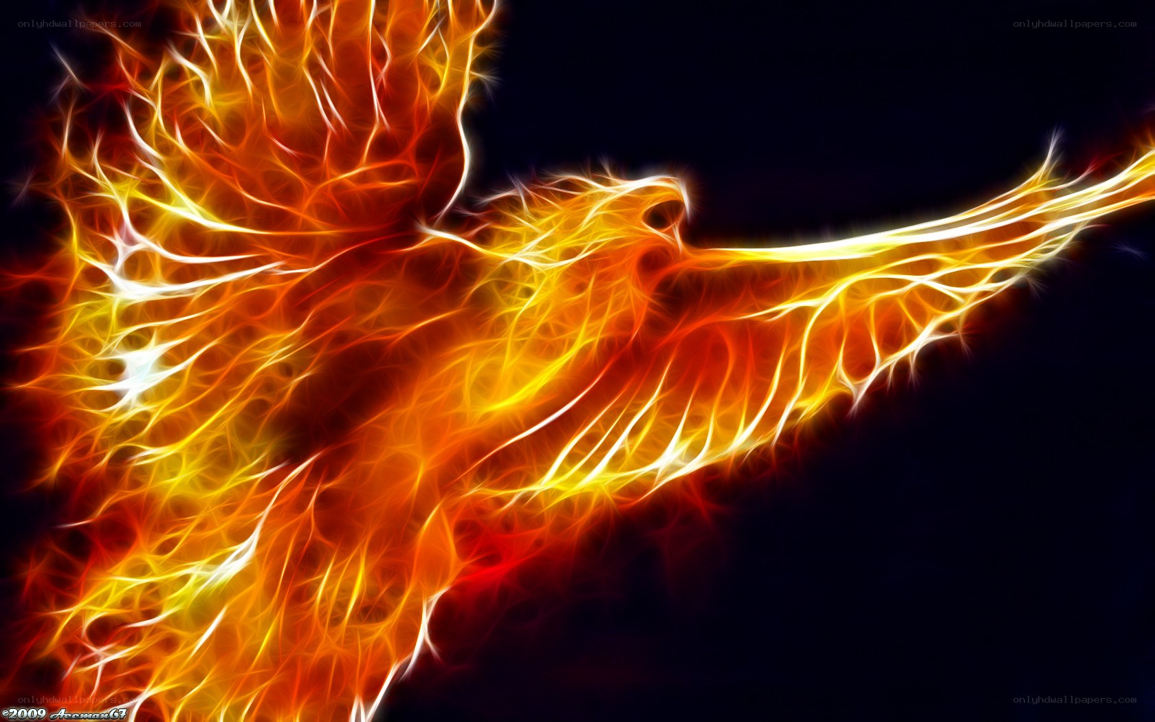 fiery phoenix in flight