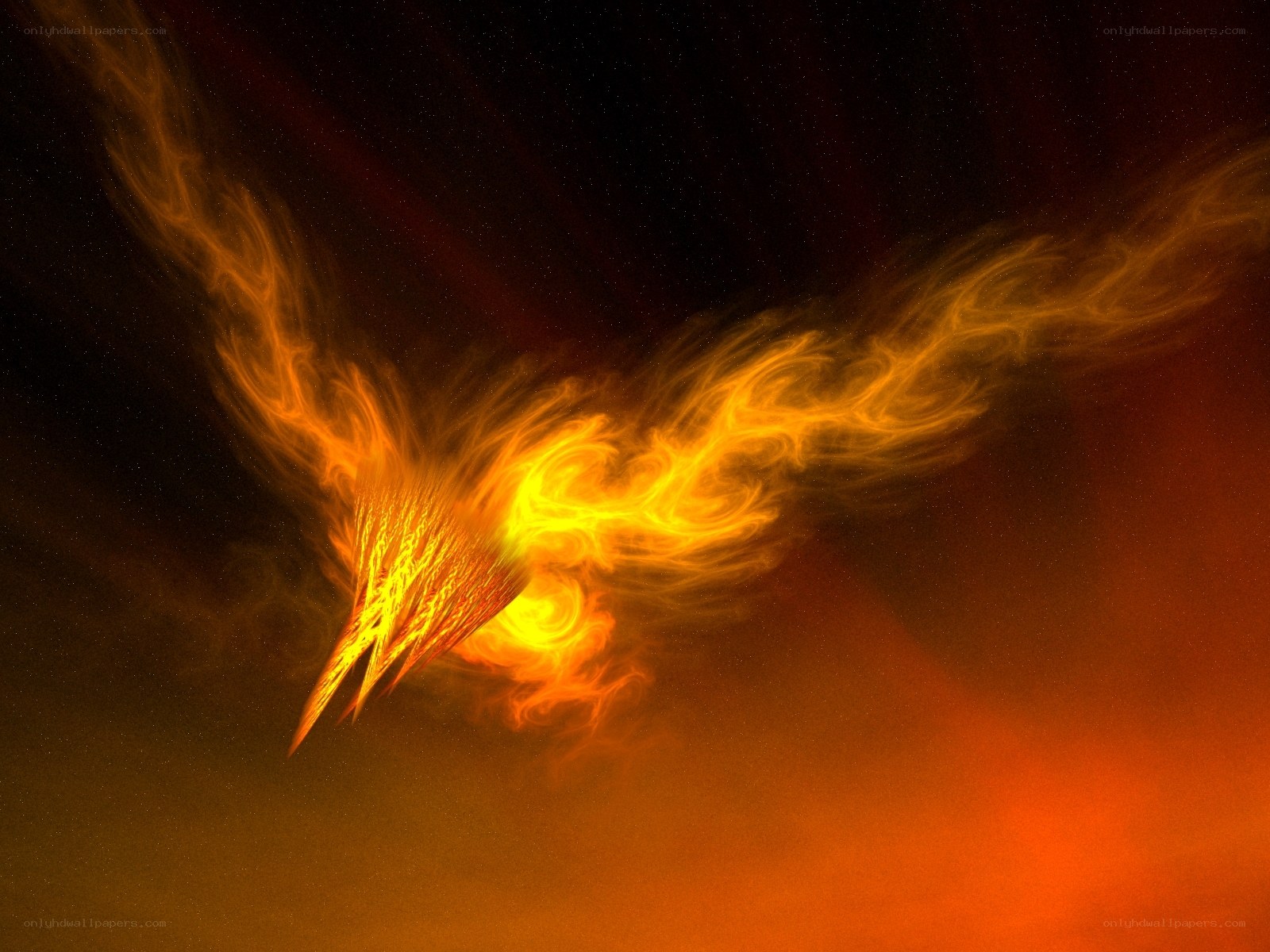 fiery phoenix in space