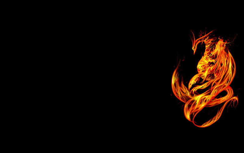 fiery phoenix on black