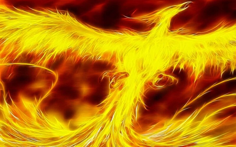 fiery phoenix rebirth