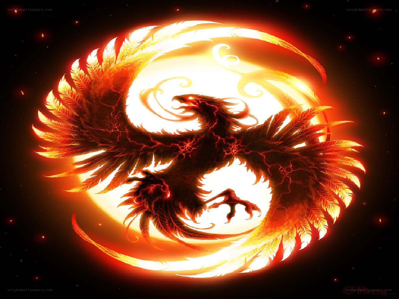 fiery phoenix rebirth