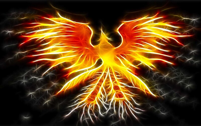 fiery phoenix rising