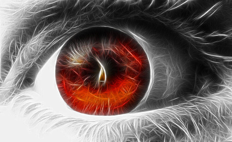 fiery red eye close-up