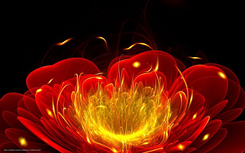 fiery red flower bloom