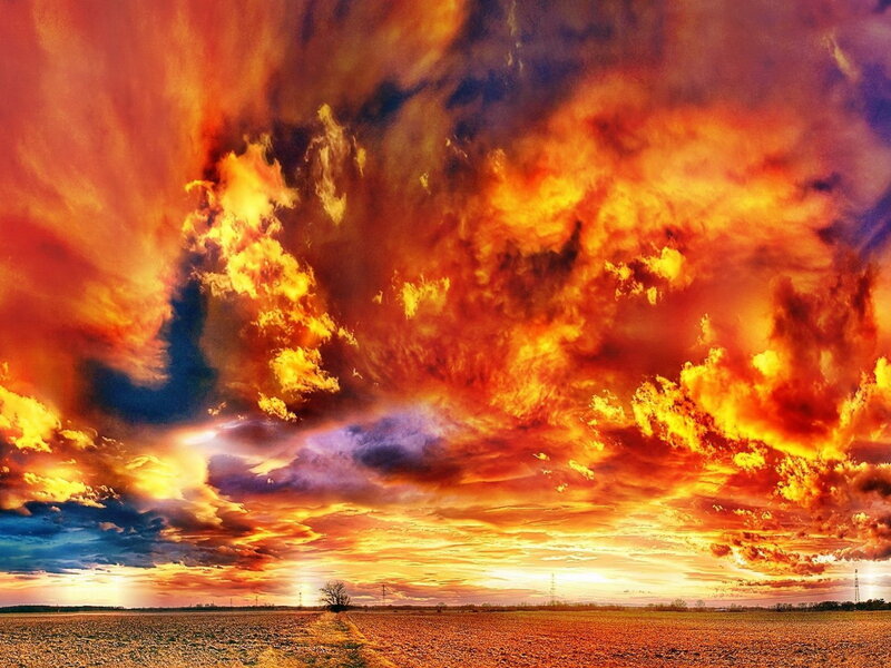 Fiery Sky over Field — Orange