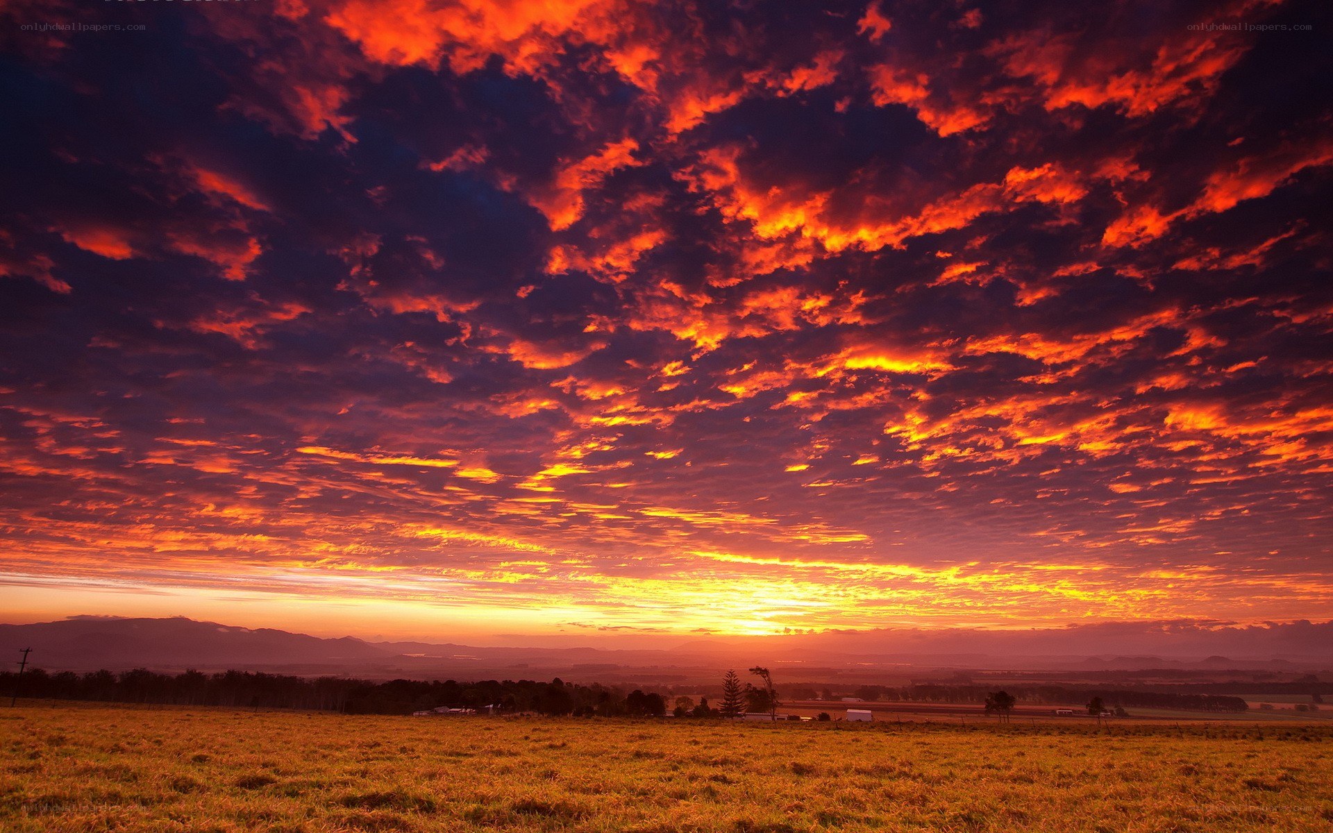 Fiery sunset over a field