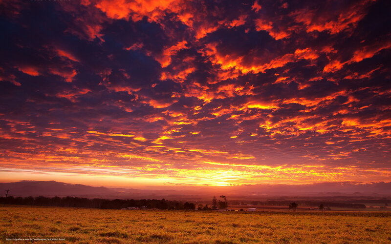 Fiery sunset over a field