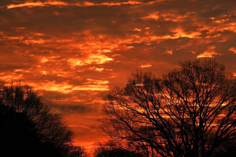 Fiery sunset over bare trees