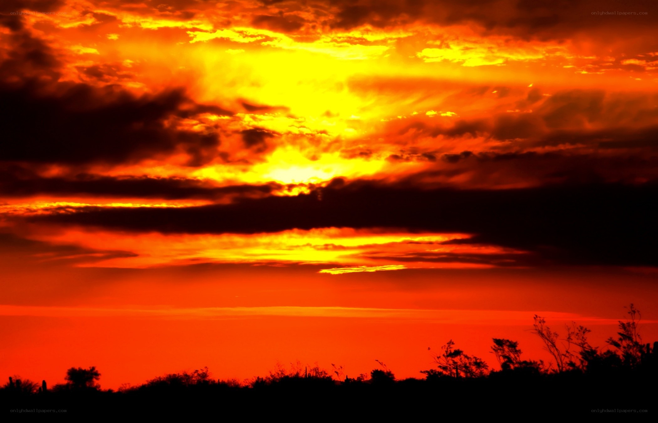 Fiery sunset over desert