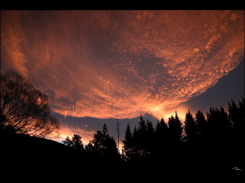 Fiery sunset over forest
