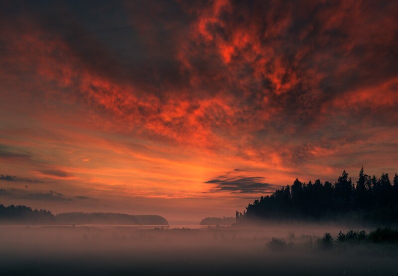 Fiery sunset over misty forest