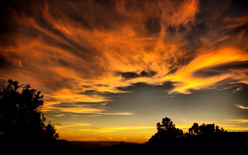 Fiery sunset over silhouetted trees