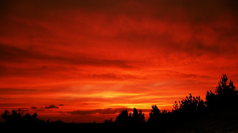 Fiery sunset over silhouetted trees