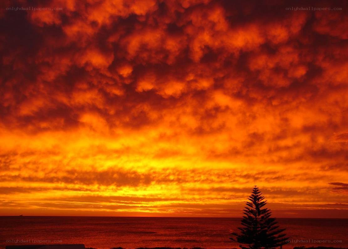Fiery sunset over the ocean