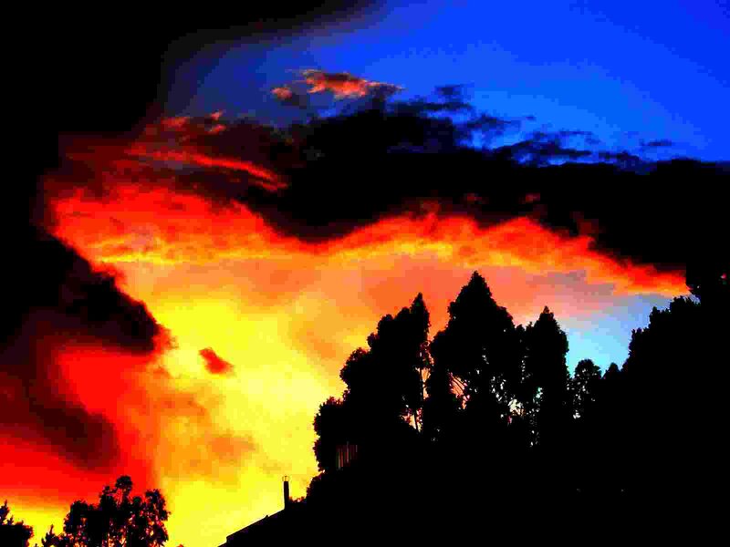 Fiery sunset over trees
